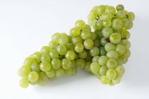 Uvas verdes maduras frescas — Fotografia de Stock