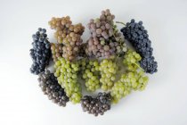 Green and black grapes — Stock Photo