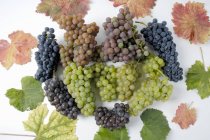 Uvas verdes e pretas — Fotografia de Stock