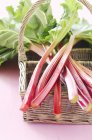 Tiges de rhubarbe fraîches — Photo de stock