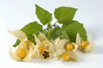 Cape gooseberries with leaves — Stock Photo