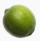 Whole Green Lime — Stock Photo