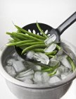 Blanched beans in colander — Stock Photo