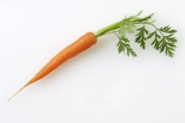 Свіжа стигла морква зі стеблом — стокове фото