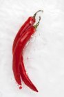 Red chilli peppers in water — Stock Photo