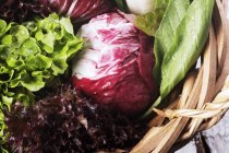 Cesta de verduras de hoja fresca - foto de stock