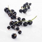 Racimos de grosellas negras frescas maduras - foto de stock