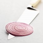 Slice of red onion — Stock Photo