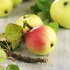 Organic Elstar apples — Stock Photo