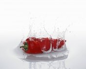 Pimienta de chile rojo - foto de stock