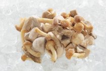 Cogumelos congelados, close-up — Fotografia de Stock
