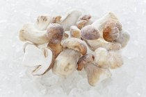 Замороженные грибы из свинины — стоковое фото