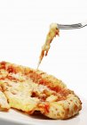 Scheibe Pizza mit Käse — Stockfoto
