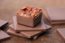 Vue rapprochée du praliné au caramel sur les carrés de chocolat — Photo de stock