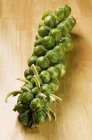 Fresh Brussels Sprouts — Stock Photo