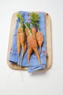Zanahorias jóvenes sobre tela coloreada - foto de stock