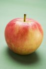 Fresh Elstar apple — Stock Photo