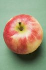 Свіжих яблук Elstar — стокове фото