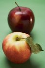 Яблука Elstar і Старк — стокове фото