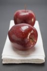 Dos manzanas rojas - foto de stock