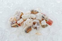 Closeup view of frozen seafood on ice — Stock Photo