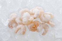 Frozen boiled prawns on ice — Stock Photo