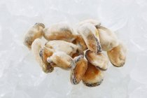 Заморожені мідії без мушлі — стокове фото