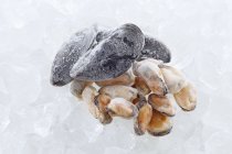 Fresh Frozen mussels — Stock Photo