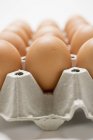 Курячі яйця в картонній коробці — стокове фото