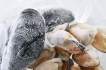 Заморожені свіжих мідій — стокове фото