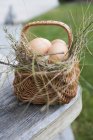Яйця в кошику на відкритому повітрі — стокове фото