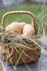 Huevos pardos en cesta - foto de stock