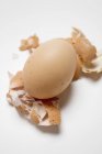 Brown egg on white — Stock Photo
