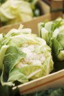 Cauliflowers in crates, close-up v — Stock Photo