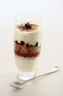 Layered dessert with yogurt — Stock Photo