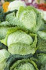 Fresh savoy cabbage — Stock Photo