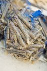 Крупный план бритвенных моллюсков в голубых сетях — стоковое фото