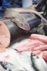 Свіжі риби на фермерському ринку — стокове фото