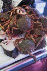Crabes et poissons frais — Photo de stock