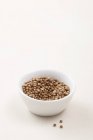 Bowl of coriander seeds — Stock Photo