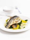 Grilled sea bass on spinach with oranges  on white plate — Stock Photo