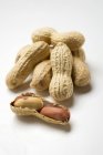 Mehrere Erdnüsse auf Weiß — Stockfoto