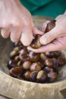 Cutting a slit in chestnuts — Stock Photo