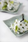 Vista de cerca de una ramita de flores blancas en un plato verde - foto de stock
