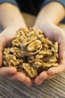 Hands holding walnuts — Stock Photo