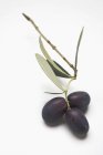 Olive nere su ramoscello — Foto stock