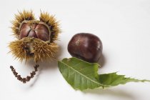 Sweet chestnuts with leaf — Stock Photo