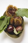 Sweet chestnuts with leaves — Stock Photo