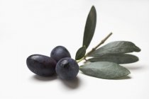 Sprig with black olives — Stock Photo