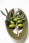 Olivenzweig mit grünen Oliven — Stockfoto